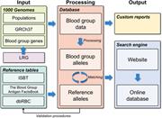 Graphical abstract for: Erythrogene: a database for in-depth analysis of the extensive variation in 36 blood group systems in the 1000 Genomes Project;