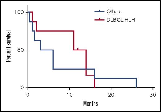 Figure 2. Overall survival for both groups.