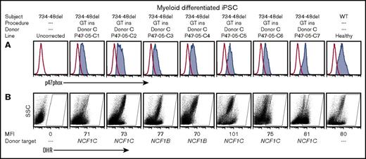 Figure 4. Functional analysis of myeloid cells generated from homozygous Δ734-748 NCF1 p47-CGD iPSCs corrected by exon 2 replacement. (A) p47phox expression in myeloid cells differentiated from iPSCs derived from the homozygous Δ734-748 NCF1 p47-CGD subject, including the uncorrected line, P47-05 (first panel on the left), 7 exon 2 replacement (GT ins) clones, P47-05-C1 to C7 (middle 7 panels), and the healthy control iPSCs (last panel on the right). (B) Oxidase function in corresponding clones is shown by DHR assay. The DHR assay, gating for MFI assessment, and donor target assessment are as described in the Figure 2D legend.