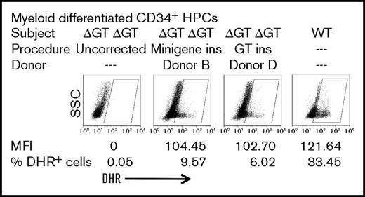Figure 6. Functional analysis of gene-targeting correction of p47-CGD patient HPCs. HPCs from p47-CGD subject 3 (homozygous exon 2 ΔGT NCF1) were cultured in Stemspan SFEMII supplemented with stem cell factor, Flt3 ligand, and thrombopoietin and gene targeted with ZFN mRNA and donor B or donor D rAAV6 at day 2 of culture and analyzed at day 10 of culture under conditions inducing myeloid differentiation with 50 ng/mL granulocyte colony-stimulating factor. Shown first on the left are uncorrected myeloid differentiating HPCs from the patient in whom no oxidase-positive cells were detected. Shown last on the right are myeloid differentiating HPCs from a healthy control, where 33% of cells fall into the oxidase-positive gate. Shown on the middle-left and on the middle-right panels, respectively, are myeloid differentiating minigene (donor B) or exon 2 replacement (donor D) corrected HPCs from the patient where significant numbers of oxidase-positive cells are detected with MFI approaching that of a healthy control subject.
