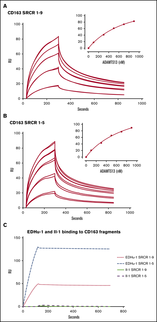 ADAMTS13 binds to SRCR1-5 and SRCR1-9 of CD163. Surface plasmon resonance analysis of the interaction between ADAMTS13 and CD163. (A) CD163 SRCR1-9 or (B) CD163 SRCR1-5 were immobilized on a CM5 chip. ADAMTS13 was then flowed over the chip in different concentrations. Graphs represent the binding curves using 100, 300, 500, 700, or 900 nM of ADAMTS13. Two independent experiments per concentration ADAMTS13 are displayed. Insets in panels A and B (upper right) show the concentration-dependent increase in maximal binding of ADAMTS13 to the CD163 SRCR1-9 and SRCR1-5 fragments. (C) EDHu-1 (100 nM) as a positive control was allowed to bind to immobilized SRCR1-9 and SRCR1-5 (EDHu-1 binds SRCR 3). Anti-ADAMTS13 antibody II-1 (500 nM) was used as a negative control.