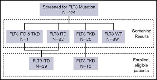 Figure 1. FLT3 mutation screening. WT denotes wild-type alleles.