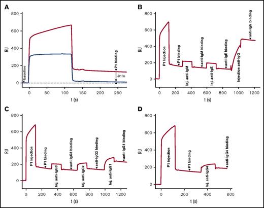 Figure 1. Anti-rhEPO antibody response: specificity and IgG subclasses. The baseline on each SPR-based biosensor immunoassay sensorgram represents a signal derived from EPO immobilized to the SPR chip surface, prior to injection of patient sample P1 at t = 0 seconds. “P1 binding” represents material remaining bound after injection of patient sample (as indicated). (A) Verification of rhEPO specificity of patient P1 serum. Injection of 1:10 diluted patient serum (upper line) compared with patient serum spiked with 10 μg/mL rhEPO (lower line), which resulted in 91% relative signal decrease compared to 2 minutes after end of serum injection, demonstrating rhEPO specificity of the P1 patient serum sample. (B) Antibody isotyping: injection of patient sample followed by serial injection of anti-IgM, anti-IgE, and anti-IgG. Only IgG shows significant signal increase (>300%, suggesting multiple binding of the polyclonal anti–human-IgG antibody), confirming ADA as an IgG class molecule. (C) Antibody subclass determination: injection of patient sample followed by serial injection of anti-IgG3: no signal increase (9% signal decrease 2 minutes after end of injection); anti-IgG2: minor increase (8% increase); and anti-IgG1 (strong signal increase of 61% confirming the presence of IgG1 in sample P1). (D) Antibody subclass determination: injection of patient sample followed by injection of anti-IgG4 (25% increase, confirming the presence of IgG4 in sample P1). inj, injection; RU, resonance units; s, seconds; t, time.