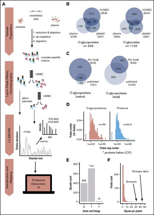 Figure 2. Enrichment and identification of glycopeptides in the hemostatic system. (A) Depiction of the proteomics workflow. Human platelet, plasma, and endothelial samples were reduced, alkylated, de-sialylated using neuraminidase, and subsequently digested using either chymotrypsin or trypsin. Glycopeptides were then enriched from the resulting complex peptide mixtures by sequential LWAC using VVA and PNA lectins. VVA enrichment was not used for plasma samples because of the absence of Tn glycans; however, plasma samples were further separated using isoelectric focusing to reduce sample complexity. Fractions containing glycopeptides were separated by online reverse-phase liquid chromatography followed by identification using Orbitrap FTMS. (B) Glycoproteins and glycosites identified in each sample in this study. (C) Overlap of the O-glycoproteins identified in this study with previously published O-glycoproteins. Left, O-glycoproteins identified in native samples. Right, overlap with all reported O-glycoproteins. (D) Sensitivity of LWAC detection. The abundance of each platelet O-glycoprotein was determined based on the platelet protein copy numbers reported in Burkhart et al36 and plotted as a histogram (left) alongside the total platelet protein abundance obtained from the same study (right). Proteins with <500 copies are below the limit of quantification and are indicated by an asterisk. Comparison of the 2 distributions indicates that O-glycoproteins are detected over the full dynamic range of protein expression and include a similar proportion of proteins that are present below the limit of quantification. Note that membrane proteins are not quantified and therefore excluded from analysis. (E) Count of Ser-, Thr-, and Tyr-linked O-glycans. (F) Number of unambiguous glycosites per protein.