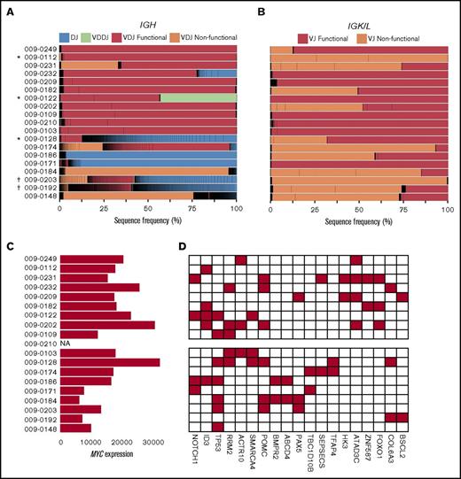 Figure 1. HTS of gDNA and RNA from Ugandan BL tumors identifies the repertoire of Ig rearrangements and sequence variants in tumor cells. (A-B) Cumulative frequency plots of all unique IGH (A) or IGK/IGL (B) sequences identified by HTS of gDNA from the Ugandan BL cohort. Each segment in the bar plots represents a unique nucleotide sequence, and the color indicates the type of Ig rearrangement. Black lines separate the unique sequences, so highly polyclonal regions appear black in the figure. *Indicates that the tumor sample was EBV-negative; †indicates that the repertoire was classified as polyclonal. (C) Normalized c-MYC expression for each of the 18 Ugandan tumors on which RNAseq analysis was performed. RNAseq was not performed on sample 009-0210 due to poor quality RNA. (D) Genes with at least 1 single nucleotide variant (SNV) detected in RNAseq and predicted to be pathologic in each of the 18 Ugandan BL tumors. A red box indicates the presence of at least 1 SNV.