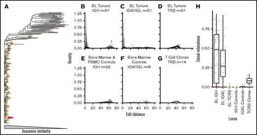 Figure 3. HTS of IGH in BL tumors reveals large families of closely related sequences. (A) Phylogenetic tree of all IGH sequences observed in a representative BL tumor sample. Unique IGH VDJ gene rearrangements are indicated by node color. The red arrow indicates the dominant unique sequence identified in the tumor. (B-G) Density plots of nucleotide edit distance (the number of nucleotide differences between a given unique sequence and the most frequent sequence in the tumor) for all sequences identified in all BL IGH samples (B), BL IGK/IGL samples (C), BL TRB samples (D), nonmalignant bone marrow and PBMC IGH control samples (E), bone marrow control IGK/IGL samples (F), and for CD8+ T-cell clones (G). (H) Clonal relatedness scores for each of the sample populations listed above (defined as the total number of distinct unique sequences with an edit distance <10 from the most frequent sequence, divided by the total number of unique sequences).