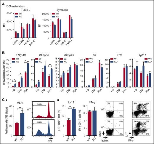 Figure 4. Rat CLEC-1–deficient BMDCs enhance Th17-cell activation. (A) BMDCs from WT and CLEC-1–deficient rats were stimulated with TLR 4-L or zymosan for 24 hours, and CD80, CD86, and Class I and II major histocompatibility complex (MHC) were assessed by flow cytometry. Data were expressed in histograms as mean ± SEM of 6 independent experiments. (B) BMDCs were stimulated with TLR4-L or zymosan for 8 hours, and Il12p40, Il12p35, Il23p19, Il6, Il10, and Tgfb1 were assessed by qRT-PCR. Results were expressed in histograms as mean ± SEM of 6 independent experiments and were expressed in AU of specific cytokine/Hprt ratio. (C) BMDCs were incubated for 4 days in MLR with allogeneic purified CD4+ T cells. (i) Histogram and representative staining of proliferation (CFSE dilution) assessed in CD4+ T cells by flow cytometry, and (ii) histogram and representative dot plots of percentage of IL-17+ and IFN-γ+ cells among gated CD4+ T cells assessed by flow cytometry. Data were expressed in histograms as mean ± SEM of 6 independent experiments. *P < .05; **P < .01. KO, knockout; MFI, mean fluorescence intensity; mRNA, messenger RNA; NS, nonstimulated.