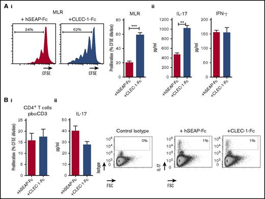 Figure 5. Blocking CLEC-1 Fc fusion protein enhances rat BMDC-mediated Th17-cell activation. (A) BMDCs from naïve rats were incubated for 4 days in MLR with allogeneic purified CD4+ T cells, together with CLEC-1 Fc or irrelevant hSEAP-Fc fusion proteins (produced and purified under the same conditions) (10 μg/mL). (i) Histogram of proliferation (CFSE dilution) of CD4+ T cells assessed by flow cytometry, and (ii) IL-17 and IFN-γ cytokine production assessed in supernatants of MLR by ELISA. Data were expressed in histograms as mean ± SEM of 4 independent experiments. (B) Purified CD4+ T cells from naïve rats were stimulated with pb anti-CD3 (5 μg/mL) in combination with CLEC-1–Fc or irrelevant hSEAP-Fc fusion proteins (10 μg/mL) for 4 days. (i) Proliferation (CFSE dilution) was assessed by flow cytometry, and (ii) IL-17 cytokine production was assessed in supernatants by ELISA and in CD4+ T cells by flow cytometry as FSC vs isotype or IL-17 staining. Data were expressed as histograms as mean ± SEM of 4 independent experiments. **P < .01; ***P < .001. FSC, forward scatter.