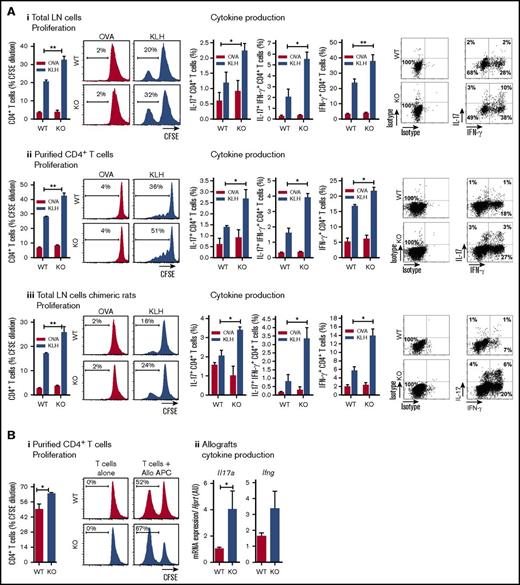 Figure 6. CLEC-1–deficient rats exhibit an exacerbation of in vivo DC-mediated CD4+ Th1/Th17 responses. (A) WT, CLEC-1–deficient rats (i-ii) and chimeric rats reconstituted with BM from WT or CLEC-1–deficient rats (iii) were immunized subcutaneously in the footpad with CFA plus KLH protein (100 μg/mL). At day 10 after immunization, popliteal LNs were harvested and total LN cells or purified CD4+ T cells were re-stimulated in vitro with KLH or control ovalbumin (25 μg/mL) for 3 days. Histograms and representative plots of proliferation (CFSE dilution) and percentage of IL-17+, IL-17+ IFN-γ+, and IFN-γ+ cells in gated CD4+ T cells assessed by flow cytometry. Data were expressed as histograms as mean ± SEM of 4 independent experiments. Staining of isotypes was indicated as control. (B) WT and CLEC-1–deficient rats were transplanted with cardiac allografts. (i) At day 5 after transplantation, purified CD4+ T cells from spleen were re-stimulated in vitro with donor T-cell–depleted splenocytes (MLR) for 3 days. Histograms of proliferation (CFSE dilution) in gated CD4+ T cells assessed by flow cytometry and expressed as mean ± SEM of 4 independent experiments. (ii) Il17a and Ifng were assessed by qRT-PCR in cardiac allografts harvested at day 5 after transplantation. Results were expressed in histograms as mean ± SEM of 4 independent experiments and were expressed in AU of specific cytokine/Hprt ratio. *P < .05; **P < .01. mRNA, messenger RNA.
