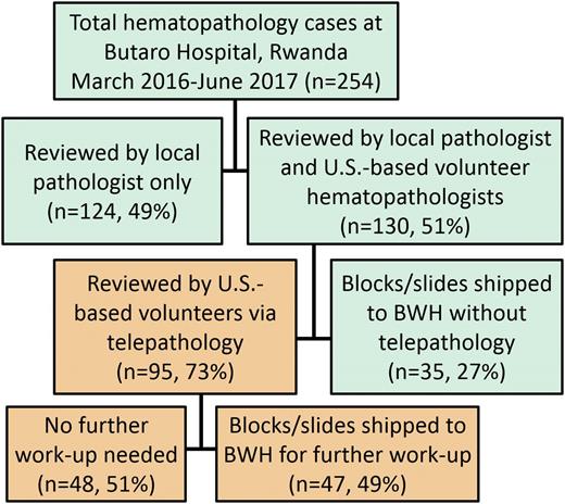 Figure 1. Case workflow. All cases submitted for hematopathology work-up at Butaro District Hospital were reviewed by the local pathologist (D.R.) and then triaged for additional review (51%). The majority (73%) of triaged cases were first reviewed by telepathology: ∼50% were finalized without further work-up, and the other half were shipped to BWH for additional IHC. The remaining triaged cases (27%) were sent directly to BWH when the local pathologist deemed additional molecular or IHC testing would be required for diagnosis.