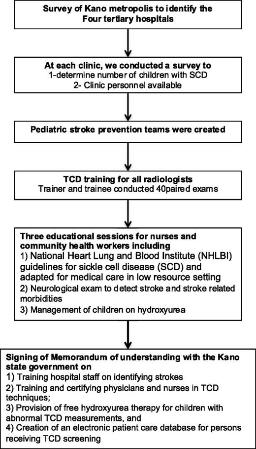 Figure 1. Establishment of the primary stroke prevention clinics and multidisciplinary team.