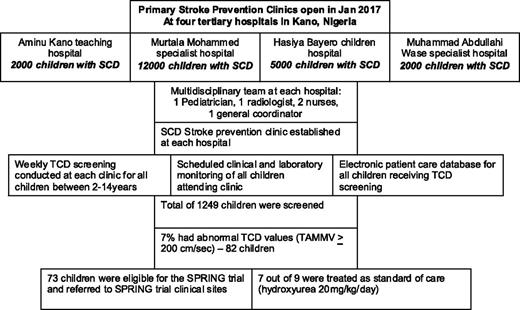 Figure 2. Flow diagram showing results of the primary stroke prevention clinics.