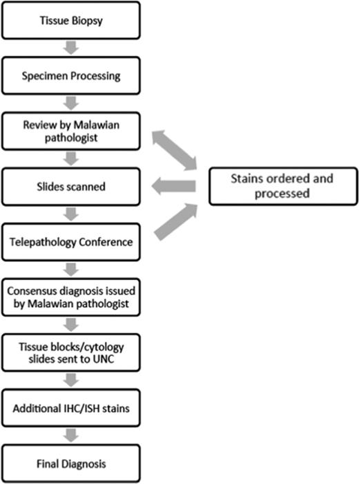 Figure 1. Laboratory workflow.
