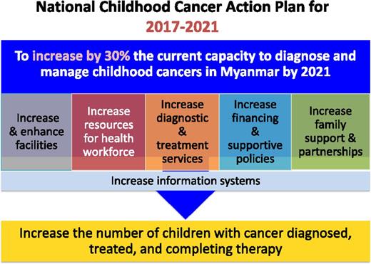 Figure 1. National Childhood Cancer Action Plan.