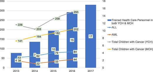 Figure 3. Program outcomes: highlights.