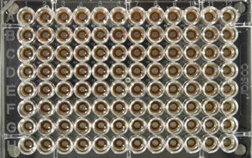 Figure 2. Protection from light during setup of the test and growth of L rhamnosus is crucial.