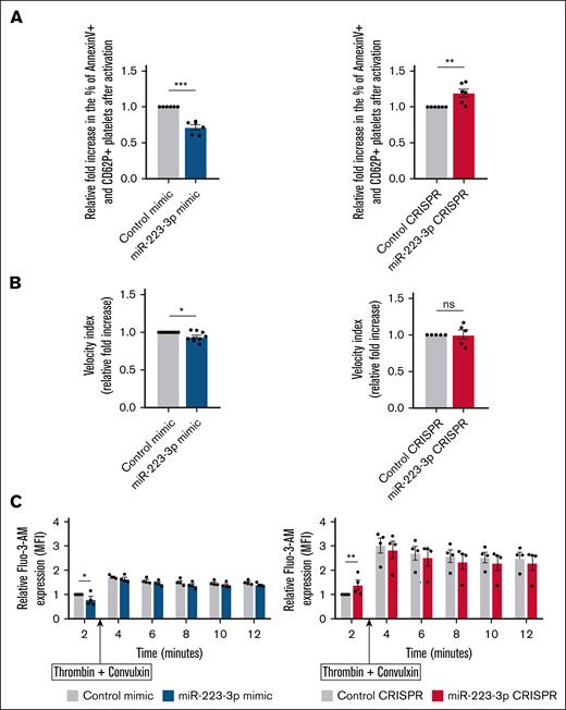 Impact of miR-223-3p modulation on platelet procoagulant activity. (A) Relative fold increase in the proportion of procoagulant platelets after activation with thrombin and convulxin. (B) Quantification of platelet-supported thrombin generation (velocity index parameter) after activation with TRAP and collagen. miR-223-3p upregulation relative to the negative control (left); miR-223-3p downregulation relative to the negative control (right). (C) Calcium flux (Fluo-3-AM MFI) quantification over time, before and after activation with thrombin and convulxin. Data are from 4 to 9 independent experiments. ∗P < .05; ∗∗P < .01; ∗∗∗P < .001. Fluo-3-AM, fluo-3-pentaacetoxymethyl ester; MFI, mean florescence intensity; ns, non-significant.