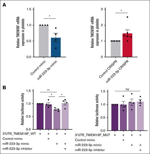 TMEM16F is a direct target of miR-223-3p. (A) TMEM16F mRNA expression levels in platelets after miR-223-3p upregulation (left) or downregulation (right). (B) Relative luciferase activity after the co-transfection of pmirGLO-3’UTR_TMEM16F WT or MUT with a miR-223-3p mimic and/or an inhibitor in HT1080 cells. Data are from 4 to 6 independent experiments. ∗P < .05; ∗∗P < .01. MUT, mutant; ns, non-significant; WT, wild type.
