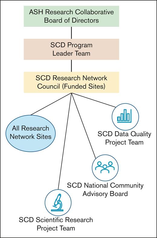 Organizational structure of the ASH RC Research Network.