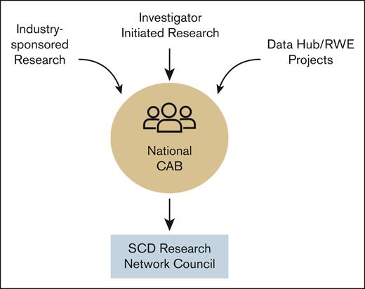 Flow of research through the NCAB to aid Network Council prioritization of industry- and investigator-initiated research and RWE project leveraging the Data Hub. RWE, real-world evidence.