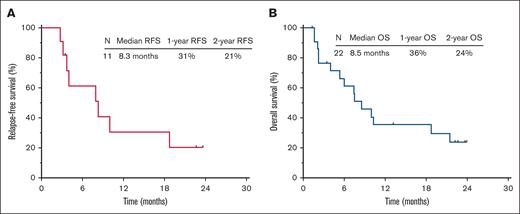 Outcomes of the study cohort. (A-B) Relapse-free survival (A) and OS (B). RFS, relapse-free survival.