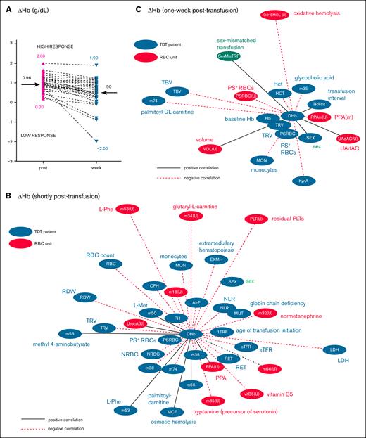 ΔHb variation and linkages with data of donors and patients with TDT. (A) ΔHb variation (normalized values per RBC unit) among patients with TDT shortly (post) and 1-week (week) after transfusion. The cohort medians (grams per deciliter) that distinguish low from high transfusion response events are denoted by arrows. (B-C) Network presentation of RBC unit variables, donor variables, and baseline variables of patients with TDT significantly correlated (P < .05) with ΔHbpost (B) and ΔHbweek (C) according to the univariate analyses shown in supplemental Table 4 and supplemental Table 6, respectively. Edge length is inversely proportional to the correlation coefficient (r), with shorter edges indicating stronger correlations. Black/solid lines, positive correlations; red/dashed lines, negative correlations. Metabolite (m) numbers in nodes correspond to definitions in supplemental Tables 4 and 6. AtrF, atrial fibrillation; CFH, cell-free Hb; DHb, ΔHb; EXMH, extramedullary hematopoiesis; HCT, hematocrit; Hct, hematocrit; LDH, lactate dehydrogenase; m, membrane; MCF, mean corpuscular fragility; MON, monocyte; MUT, mutation severity; PH, pulmonary hypertension; Phe, phenylalanine; PPA, proteolytic proteasome activity; PPA(U), PPA of RBC units; PPAm(U), proteolytic proteasome activity at the RBC membrane (units); PSRBC(U), PS-exposing RBCs (units); RDW, red cell distribution width; RET, reticulocytes; sTFR, soluble transferrin receptor; TBV, total blood volume; 1TRF, age of transfusion initiation; TRFInt, transfusion interval; TRV, total RBC volume; UAdAC, UA-dependent antioxidant capacity; UAdAC(U), UAdAC of RBC units; UrocA(U), Urocanic acid (units) ; VOL(U), volume of RBC units.