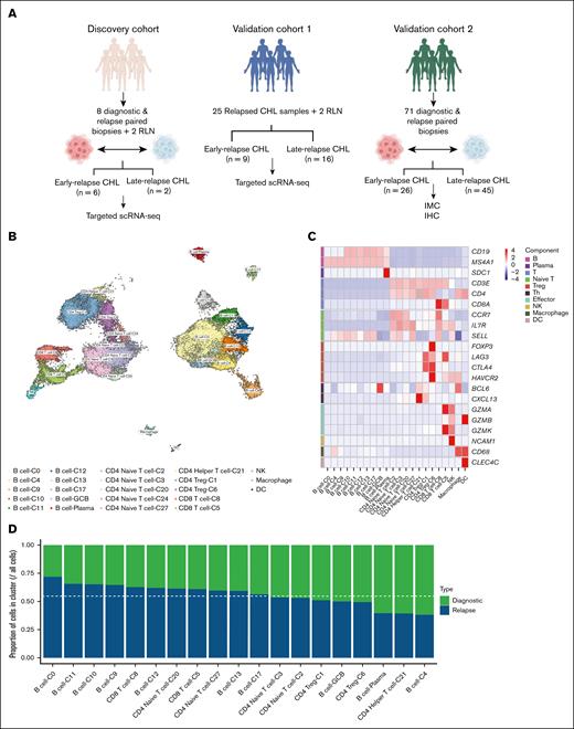 scRNA-seq profiling in diagnostic and relapsed CHL. (A) Study cohort composition; overview of the discovery cohort used for targeted hybrid-capture sequencing; validation cohort 1 (targeted hybrid-capture sequencing); and validation cohort 2 (IHC and IMC). (B) UMAP visualization of all major immune cell populations across CHL and RLN samples in the discovery cohort. (C) Heat map showing the canonical marker expression in each cell cluster. (D) Proportional changes in B- and T-cell clusters between diagnostic and relapsed CHL samples in the discovery cohort. The white dashed line represents the expected ratio of cell proportions from relapse samples based on the total cell number of diagnostic and relapse samples. GCB, germinal center B cell; NK, natural killer cell; Th, T helper cell; Treg, regulatory T cell.