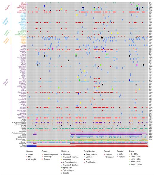Genomic annotation of samples with clinical targeted sequencing (n = 134). Genes and the copy number states of tumor suppressor genes and prognostic regions shown (_CN). Purity data taken from flow cytometry of sorted CD138+ samples. AL, amyloid light chain; t(none), no immunoglobulin translocation detected.