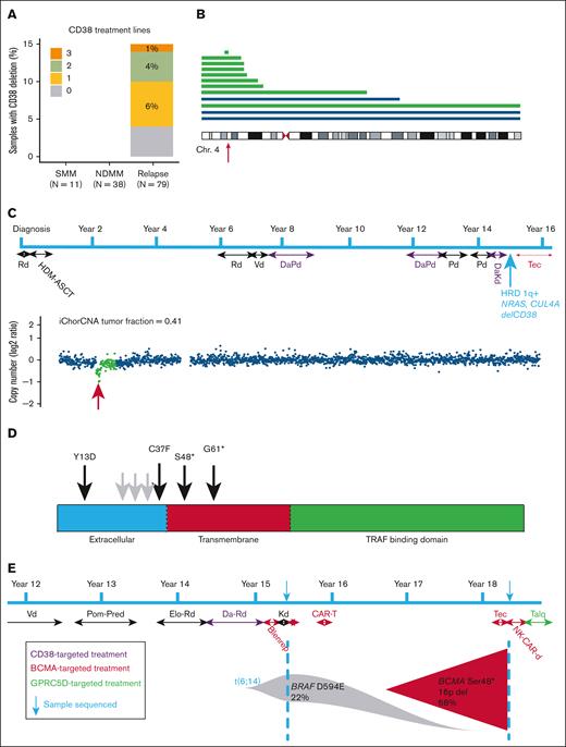 Clinical targeted sequencing identifies mutation or deletion of immunotherapy targets. (A) Percent of samples at each disease stage with deletion CD38 and number of prior lines of anti-CD38 received. (B) Deletions of chromosome 4 in relapsed patients with prior lines of anti-CD38 treatment. Each line represents a patient and the extent of the deletion. The blue lines depict deletions in patients who were anti-CD38 naive, whereas the green lines were patients who received anti-CD38. The red arrow indicates the position of CD38. (C) Patient treatment timeline for a patient identified with deletion of CD38 after anti-CD38 treatment. The blue arrow indicates sample time point with key genomic features. iChor copy number profile of chromosome 4 (lower). Location of CD38 indicated by the red arrow. (D) Mutations in TNFRSF17 (BCMA) detected after anti-BCMA treatment. The black arrows indicate mutations detected in this study, whereas the gray arrows indicate previously identified mutations. (E) Patient treatment timeline revealing sequencing date from 2-sample time points before and after anti-BCMA treatments. Blenrep, belantamab mafodotin-blmf; CAR-T, chimeric antigen receptor T cell; Chr. 4, chromosome 4; DaKd, daratumumab carfilzomib dexamethasone; DaPd, daratumumab pomalidomide dexamethasone; DaRd, daratumumab lenalidomide dexamethasone; Elo-Rd, elotuzumab lenalidomide dexamethasone; HDM-ASCT, high-dose melphalan autologous stem cell transplant; HRD, hyperdiploidy; Kd, carfilzomib dexamethasone; NK-CAR-d, natural killer cell chimeric antigen receptor dexamethasone; Pd, pomalidomide dexamethasone; Pom-Pred, pomalidomide prednisone; Rd, lenalidomide dexamethasone; Talq, talquetamab; Tec, teclistimab; Vd, bortezomib dexamethasone.
