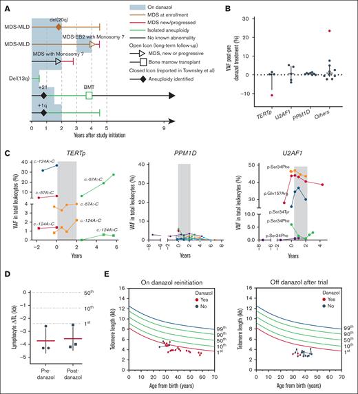 Myeloid malignancies, clonal dynamics, and TLs. (A) A swimmer diagram highlighting long-term follow-up of patients with chromosomal abnormalities and/or myeloid malignancies. (B) Differences of VAF of somatic mutations after the completion of danazol therapy compared to baseline in PPM1D, TERTp, U2AF1, and other genes (RUNX1, ASLX1, BCOR, GATA2, SETBP1, ZRSR2, ETV6, and PHF6). Positive values represent variants that expanded posttherapy, whereas negative values represent variants that decreased in size. Outliers in red represent a BCOR variant that highly expanded after danazol therapy but eventually decreased in size after drug discontinuation and a TERTp variant that decreased in size (supplemental Figure 6). (C) Clonal dynamics of TERTp, PPM1D (all exon 6 truncations), and U2AF1 p.Ser34Phe somatic mutations in available samples from therapy initiation. The time of danazol treatment is indicated in gray. Each line color represents a single patient. (D) Average ΔTL before and after danazol treatment on study. Mean and standard deviation are marked. (E) TL of lymphocytes measured using flow-FISH after the trial for patients for whom danazol was reinitiated (left panel) or who were continued off-therapy (right panel). BMT, bone marrow transplant; del, deletion; EB2, excess blasts 2; MLD, multilineage dysplasia; ΔTL, delta TL; VAF, variant allele frequency.