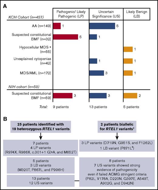 Figure 2. Schematic diagram representing RTEL1 variants identified in this study. (A) We screened 516 patients from 2 independent cohorts (the KCH and NIH), identifying 23 RTEL1 variants in 27 unrelated patients. The number of patients with pathogenic/likely pathogenic, uncertain significance, or likely benign variants are presented by colored bars according to their clinical diagnosis. (B) Twenty-five patients carried heterozygous RTEL1 variants, whereas 2 patients were biallelic. The number of patients with LP, US, and LB variants are summarized in the figure. Heterozygous LP variants were enriched in the group of patients suspected to have inherited BMF (see supplemental Figure 1 for cohort’s data). *Patients with hypoMDS and not suspected to have constitutional BMF. †Four RTEL1 variants identified in patients NIH-1 and NIH-2 were associated with an autosomal recessive form of AA because they were compound heterozygous. ‡Despite being classified as LB, the P871L variant was seen together with the D719N variant in compound heterozygosity.