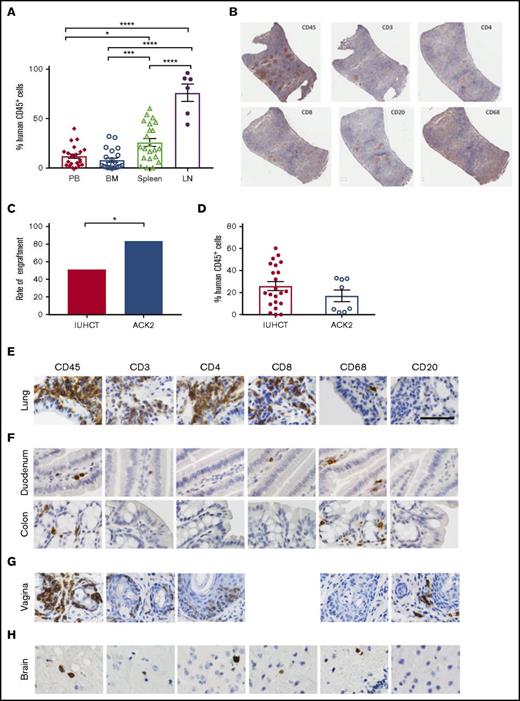 Figure 2. Human CD45+ cells show systemic multilineage engraftment with increased engraftment rates following ACK2 treatment. (A) Percentage of human CD45+ cells in lymphoid tissues of chimeric mice and peripheral blood. *P < .05, ***P < .001, ****P < .0001 (analysis of variance with Tukey’s honest significance test). (B) Immunohistochemistry of harvested spleen from a T-cell–dominant mouse demonstrating organized lymphoid follicles. (original magnification ×10; immunohistochemical analysis was performed on fixed/paraffin-embedded tissue sections for human CD45+, CD3+, CD4+, CD8+, CD20+, and CD68+ then counterstained with hematoxylin) (C) Effect of ACK2 treatment on the rates of engraftment (the proportion of surviving animals with ≥1% chimerism in any tissue). (D) Overall chimerism levels. (E-H) NSG mice treated with in utero transplantation of human CD34+ cells demonstrate populations of human cells, within the lung alveolar and bronchiole tissue (E), small and large bowel (F), female reproductive tract (G), and brain (H) (original magnification ×40; immunohistochemical analysis was performed on fixed/paraffin-embedded tissue sections for human CD45+, CD3+, CD4+, CD8+, CD68+, and CD20+ and counterstained with hematoxylin). BM, bone marrow; LN, lymph nodes; PB, peripheral blood.