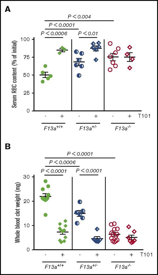 Figure 1. Inhibition or genetic deletion of FXIII(a) results in decreased clot weight. Whole blood from F13a+/+, F13a+/−, and F13a−/− mice was clotted with TF/CaCl2 in the absence or presence of the FXIII inhibitor T101 (20 µM, final) for 2 hours. (A-B) Serum RBC content (A) and contracted whole blood clot weight (B) were recorded. Each dot is a separate mouse; lines indicate mean ± SEM.