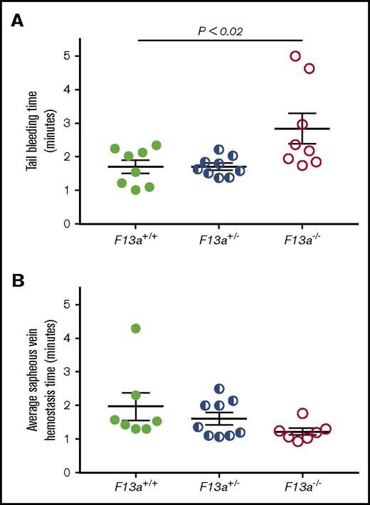Figure 5. Partial FXIII deficiency does not increase the time to clot formation in murine models of hemostasis. (A-B) F13a+/+, F13a+/−, and F13a−/− mice were subjected to tail transection (A) and saphenous vein puncture (B). (A) Following 3-mm excision of the distal portion of the tail, bleeding was measured as described in “Methods.” Data show time to cessation of bleeding. (B) Following saphenous vein puncture, bleeding was measured after disruption of hemostatic clots as described in “Methods.” The data show average saphenous vein hemostasis times. Each dot represents a separate mouse; lines indicate mean ± SEM.