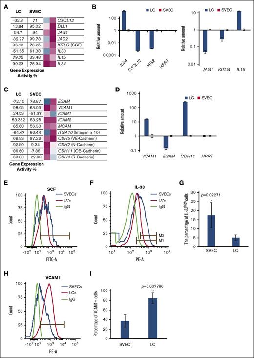 Figure 6. Hematopoietic factor and adhesion molecule production by LCs and SVECs. (A) The GEA values (as described in Figure 2A) of genes encoding factors supporting hematopoiesis. (B) RT-qPCR analysis of IL15, IL34, KITLG (SCF), CXCL12, JAG1, and JAG2, as described in Figure 2H. (C) The GEA values of genes encoding adhesion molecules. (D) RT-qPCR analysis of VCAM1, ESAM, and CDH11 (OB-cadherin), as described in Figure 2H. (E) Representative FACS histogram of SCF cell surface expression by LCs and SVECS. (F) Representative FACS histogram of intracellular IL-33 in fixed LCs and SVECS. Gate M1: IL-33+ based on IgG. Gate M2: IL-33high. (G) The percentage of IL-33high cells (Gate M2) relative to total LCs and SVECs. Data are shown as mean ± SD, n = 3 (triplicate analyses). *P = .02271 by paired Student t test. (H) Representative FACS histograms of VCAM1. (I) Percentage of VCAM1+ cells in SVECs and LCs. Data are shown as mean ± SD, n ≥ 3. **P = .007786 by 2-sample Student t test.