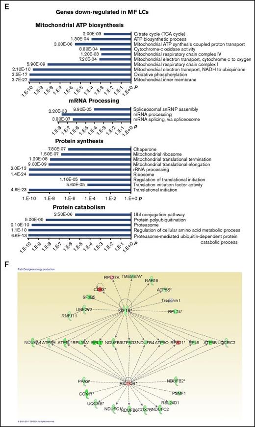 The properties of MF LCs and SVECs. (A, upper) Representative photomicrograph of hematoxylin and eosin staining of the red pulp of normal and MF spleens. Scale bar, 50 μm. (Middle) Matching samples stained with both anti-CD8α (brown) and anti-CD34 (magenta) antibodies. LCs are stained brown, SVECs are stained magenta. Scale bar, 20 μm. (Bottom) Reticulin staining of the matching samples as earlier. Scale bar, 50 μm. Pictures of all 3 panels were taken at 400× original magnification. (B) Representative FACS profiles of normal or MF nonhematopoietic cell fraction from collagenase digested nonsuspensive part of spleen tissues, which are CD45−CD3− and RBC-free. The percentages of LCs and SVECs are indicated in the profiles. (C) Percentage of normal or MF LCs and SVECs relative to total viable CD45−CD3−, RBC-free, nonhematopoietic splenic cells as in (B). Data are shown as mean ± SD, n > 3. ******P = 3.06E-06 by 2-sample Student t test. The result represents an average of 4 independent experiments with spleens from 4 patients with MF and 6 normal individuals. (D) The heat map of relative gene expression intensity for MF SVEC or LC gene signature. (Upper) MF SVECs; (lower) MF LCs. (E) DAVID Functional Annotation Clustering analysis of MF LC gene signature for downregulated genes in MF compared with normal LCs. (F) A network of energy production, nucleic acid metabolism, and small molecule biochemistry by IPA analysis of genes differentially expressed in MF compared with normal LCs. Network score, 27; focus molecules, 34; green, gene expression downregulated in MF LCs; red: gene expression upregulated in MF LCs; dotted arrow lines, direction of regulation. (G) z-scores of apoptosis, cell death, and necrosis by IPA disease or function analysis for MF LCs and SVECs compared with their normal counterparts. Activation z-score ≥2 predicts the increase of a function; ≤−2 predicts the decrease of a function. P value indicates the significance of an association with the change of a related function. (H) z-scores of cell movement, migration, and outgrowth of cells by IPA disease or function analysis for MF LCs and SVECs compared with their normal counterparts. MF LCs did not have any significant change with a qualified P value in these annotations. (I) DAVID Functional Annotation Clustering analysis of upregulated genes in MF SVECs compared with normal SVECs. (J) The heat map of relative average expression intensity for selected genes by normal or MF SVECs and LCs. (K) The number of colony forming units (CFUs) formed in the colony-forming assay after the cocultures of 3000 normal or MF splenic CD34+ cells with normal SVEC cell layers for 4 days (left graph) or 6 days (right graph). CD34+ cells of 1 MF and 2 normal spleens obtained from different individual donors were cocultured in parallel with each of the 2 lines of normal SVECs (#1 and #2). Each CD34+ cell coculture was plotted individually (blue, normal; red, MF). (L) The number of assayable CFUs after coculture of 3000 normal splenic CD34+ cells from 3 different donors each with 2 lines of normal or 1 line of MF SVECs for 4 to 6 days. IL1R1, interleukin 1 receptor type 1; NADH, nicotinamide adenine dinucleotide hydride.