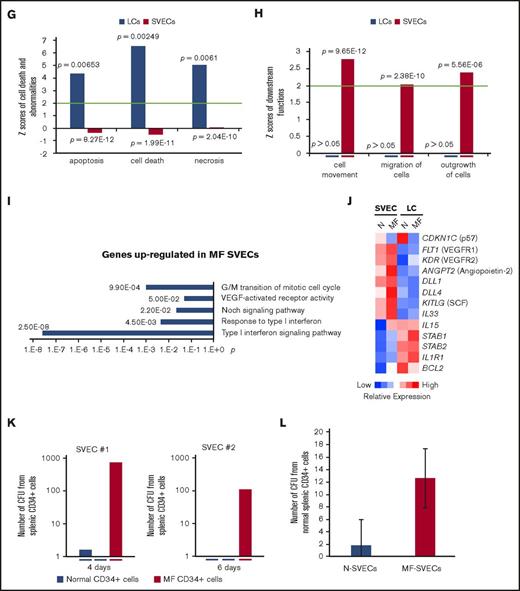The properties of MF LCs and SVECs. (A, upper) Representative photomicrograph of hematoxylin and eosin staining of the red pulp of normal and MF spleens. Scale bar, 50 μm. (Middle) Matching samples stained with both anti-CD8α (brown) and anti-CD34 (magenta) antibodies. LCs are stained brown, SVECs are stained magenta. Scale bar, 20 μm. (Bottom) Reticulin staining of the matching samples as earlier. Scale bar, 50 μm. Pictures of all 3 panels were taken at 400× original magnification. (B) Representative FACS profiles of normal or MF nonhematopoietic cell fraction from collagenase digested nonsuspensive part of spleen tissues, which are CD45−CD3− and RBC-free. The percentages of LCs and SVECs are indicated in the profiles. (C) Percentage of normal or MF LCs and SVECs relative to total viable CD45−CD3−, RBC-free, nonhematopoietic splenic cells as in (B). Data are shown as mean ± SD, n > 3. ******P = 3.06E-06 by 2-sample Student t test. The result represents an average of 4 independent experiments with spleens from 4 patients with MF and 6 normal individuals. (D) The heat map of relative gene expression intensity for MF SVEC or LC gene signature. (Upper) MF SVECs; (lower) MF LCs. (E) DAVID Functional Annotation Clustering analysis of MF LC gene signature for downregulated genes in MF compared with normal LCs. (F) A network of energy production, nucleic acid metabolism, and small molecule biochemistry by IPA analysis of genes differentially expressed in MF compared with normal LCs. Network score, 27; focus molecules, 34; green, gene expression downregulated in MF LCs; red: gene expression upregulated in MF LCs; dotted arrow lines, direction of regulation. (G) z-scores of apoptosis, cell death, and necrosis by IPA disease or function analysis for MF LCs and SVECs compared with their normal counterparts. Activation z-score ≥2 predicts the increase of a function; ≤−2 predicts the decrease of a function. P value indicates the significance of an association with the change of a related function. (H) z-scores of cell movement, migration, and outgrowth of cells by IPA disease or function analysis for MF LCs and SVECs compared with their normal counterparts. MF LCs did not have any significant change with a qualified P value in these annotations. (I) DAVID Functional Annotation Clustering analysis of upregulated genes in MF SVECs compared with normal SVECs. (J) The heat map of relative average expression intensity for selected genes by normal or MF SVECs and LCs. (K) The number of colony forming units (CFUs) formed in the colony-forming assay after the cocultures of 3000 normal or MF splenic CD34+ cells with normal SVEC cell layers for 4 days (left graph) or 6 days (right graph). CD34+ cells of 1 MF and 2 normal spleens obtained from different individual donors were cocultured in parallel with each of the 2 lines of normal SVECs (#1 and #2). Each CD34+ cell coculture was plotted individually (blue, normal; red, MF). (L) The number of assayable CFUs after coculture of 3000 normal splenic CD34+ cells from 3 different donors each with 2 lines of normal or 1 line of MF SVECs for 4 to 6 days. IL1R1, interleukin 1 receptor type 1; NADH, nicotinamide adenine dinucleotide hydride.