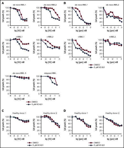 Figure 4. VE-821-mediated ATR inhibition potentiates the cytotoxic effects of HU and Gem in mononuclear cells isolated from AML patients. (A-B) Bone marrow mononuclear cells from up to 6 AML patients (3 de novo AML, 1 relapsed AML, and 2 t-AML patients) were treated with (A) HU or (B) Gem in combination with 5 µM VE-821 (blue circles) or DMSO control (red circles). Cell survival (relative to respective vehicle controls) was determined after 72 hours by addition of resazurin sodium salt. (C-D) CD34+ cells from 2 healthy donors were treated with (C) HU or (D) Gem, and cell survival was determined as above. See supplemental Figure 5C.