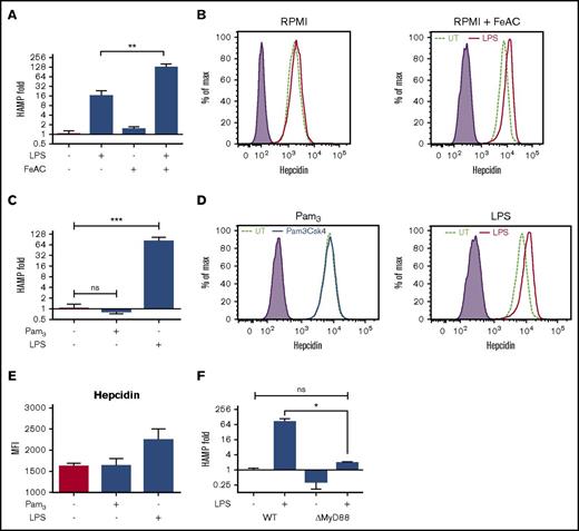 Figure 1. Iron increases TLR4-mediated hepcidin expression, whereas TLR2 activation does not induce hepcidin expression. (A) THP-1 human monocytic cells were differentiated with 50 nM of PMA and rested overnight in C-RPMI or C-RPMI supplemented with 100 μM of ferric ammonium citrate (FeAC) and then stimulated for 24 hours with 500 ng/mL of ultrapure LPS. (B) Differentiated THP-1 cells were treated as in panel A and stained for intracellular hepcidin using human antihepcidin antibody (mAb2.7) and analyzed by flow cytometry. (C) Differentiated THP-1 cells were treated with TLR2 ligand (Pam3CSK4) or TLR4 ligand (ultrapure LPS) for 24 hours, and hepcidin expression was quantified by quantitative reverse transcription PCR (qRT-PCR). (D-E) Macrophages treated as in panel C for 24 hours were stained for intracellular hepcidin using human antihepcidin antibody (mAb2.7) and analyzed by flow cytometry. Hepcidin expression was quantified by MFI. (E) Summary data from 3 independent experiments as represented in panel D. (F) Hepcidin expression in MyD88-deficient THP-1 (THP-1 ΔMyD88) cells treated with LPS as in panel A was measured by qRT-PCR. Hepcidin expression levels were analyzed by qRT-PCR, and GAPDH expression was used as a control. *P < .05, **P < .01, ***P < .001. All data were from 3 independent experiments. ns, not significant; UT, untreated; WT, wild type.