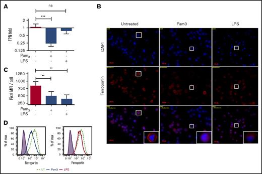 Figure 2. TLR2 ligand inhibits ferroportin expression. (A) THP-1 cells were stimulated with TLR2 or TLR4 ligand, and ferroportin expression was quantified by qRT-PCR. GAPDH expression was used as a control. (B) Surface ferroportin staining in THP-1 cells treated with TLR2 or TLR4 ligands was assessed by immunofluorescence microscopy (original magnification ×630). (C) MFI was assessed from 5 microscopic fields in panel B. (D) Surface ferroportin expression in THP-1 cells treated with TLR2 or TLR4 ligands compared with untreated cells was assessed by flow cytometry. All data were from 3 independent experiments. **P < .01, ***P < .001. DAPI, 4′,6-diamidino-2-phenylindole; FPN, ferroportin.