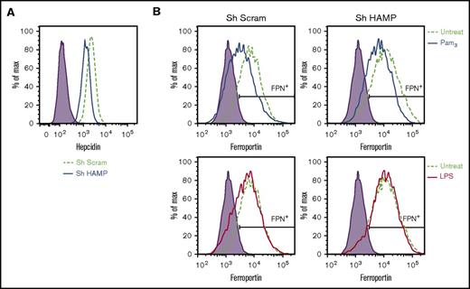 Figure 4. TLR2 inhibits ferroportin expression independent of hepcidin. Hepcidin gene silencing in THP-1 cells was achieved by lentiviral-based shRNA transduction. Scramble shRNA (Sh Scram) was used as a negative control. (A) Hepcidin expression in Sh Scram and hepcidin-specific shRNA (Sh HAMP) silenced THP-1 cells. (B) Surface ferroportin expression in Sh Scram and Sh HAMP THP-1 cells after Pam3CSK4 or LPS treatment for 24 hours. All data were from 3 independent experiments.