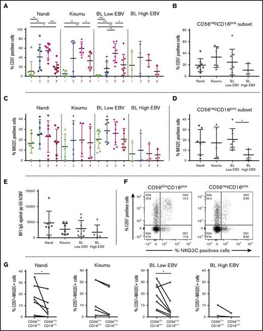 Figure 5. Absence of the CD57/NKG2C NK cell phenotype otherwise found in HCMV-EBV coinfection. NK cell subsets, including CD56brightCD16neg (1), CD56brightCD16pos (2), CD56dimCD16pos (3), and CD56negCD16pos (4), were evaluated for each group of children: Nandi (EBVlow/malarialow), Kisumu (EBVhigh/malariahigh), and eBL patients with no/low EBV and high EBV loads. (A) Comparison of CD57 among the different NK cell subsets across study groups. (B) CD57 expression on the CD56negCD16pos NK cell subset across study groups. (C) Comparison of NKG2C expression among different NK cell subsets across groups of children. (D) NKG2C expression on the CD56negCD16pos NK cell subset across study groups. (E) Median fluorescence intensity (MFI) of antibody titers against CMV. (F) Coexpression of CD57 and NKG2C on CD56dimCD16pos and CD56negCD16pos NK cells. (G) CD57posNKG2Cpos expression between CD56dimCD16pos and CD56negCD16pos subsets across study groups. For CD57, Nandi, n = 8; Kisumu, n = 6, and BL, n = 11. For NKG2C, Nandi, n = 7; Kisumu, n = 5; and BL, n = 11. Data are mean ± SD. *P < .05, **P < .01, ***P < .001.