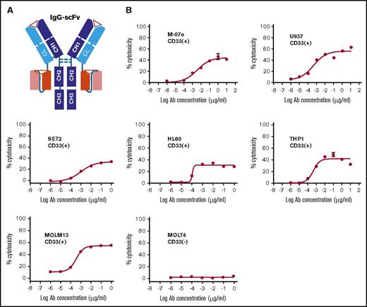 Figure 1. Anti-CD33 BsAb BC133 lysed AML cells in vitro at femtomolar EC50. (A) A schematic diagram of anti CD33×CD3 huM195 BsAb named BC133 in IgG(L)-scFv format. Heavy chains and light chains are shown in dark and light colors, respectively. (B) T-cell–mediated cytotoxicity against various CD33+ human AML cell lines in the presence of BC133 was assessed by a 4-hour chromium release assay. CD33– MOLT4 cells were used as negative control.