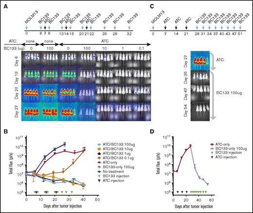 Figure 2. High potency of BC133 in T-cell–mediated eradication of established human AML xenografts in vivo. (A-B) Female NSG mice were implanted IV with 1 million MOLM13 AML cells. Tumor growth was monitored by bioluminescence imaging (A) and expressed as total flux in photons/second (p/s) (B). Starting 7 days after leukemia implantation, activated T cells (ATCs; 5 million-10 million per dose) were injected once per week for 3 weeks. The dose of BC133 was titrated down (from 100 μg to 0.1 μg) and administered 1 day before and 1 day after each T-cell administration. To support T-cell survival in vivo, 1000 IU IL-2 was injected subcutaneously 2 to 3 times per week. Data from 2 independent experiments were pooled. (C-D) When tumor signal in mice treated with T cells only reached 1010 p/s, 100 μg per dose BC133 treatment was started (twice per week) without further T-cell injection. Tumor growth was monitored by bioluminescence imaging (C) and expressed as total flux in p/s (D).