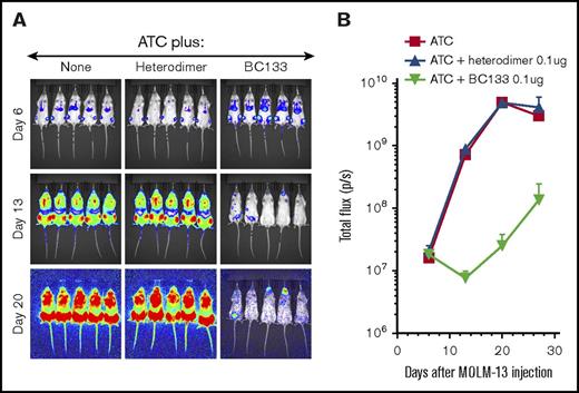 Figure 4. BC133 outperformed heterodimer BsAb. Female NSG mice were implanted IV with 1 million MOLM13 AML cells. Tumor growth was monitored by bioluminescence imaging (A) and expressed as total flux in p/s (B). ATCs (5 million-10 million/dose) were injected once weekly for 3 weeks starting 7 days after leukemia implantation. BC133 or the heterodimeric BsAb (0.1 μg) was injected 1 day before and 1 day after each T cell administration. To support T-cell persistence in vivo, 1000 IU IL-2 was administered subcutaneously 2 times per week.