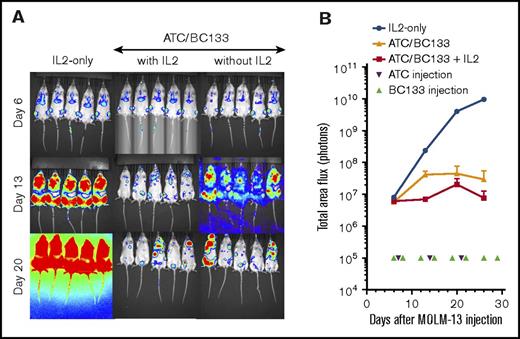 Figure 5. IL-2 supports in vivo function of BC133-redirected T cells. Female NSG mice were implanted IV with 1 million MOLM13 AML cells. Tumor growth was monitored by bioluminescence imaging (A) and expressed as total flux in p/s (B). Starting 7 days after leukemia implantation, ATCs (5 million-10 million/dose) were injected once per week for 3 weeks. BC133 (10 μg) was administered 1 day before and 1 day after each T-cell administration. One group of ATC/BC133 recipients received IL-2 (1000 IU subcutaneously) 2 to 3 times per week and the other group did not receive any IL-2.