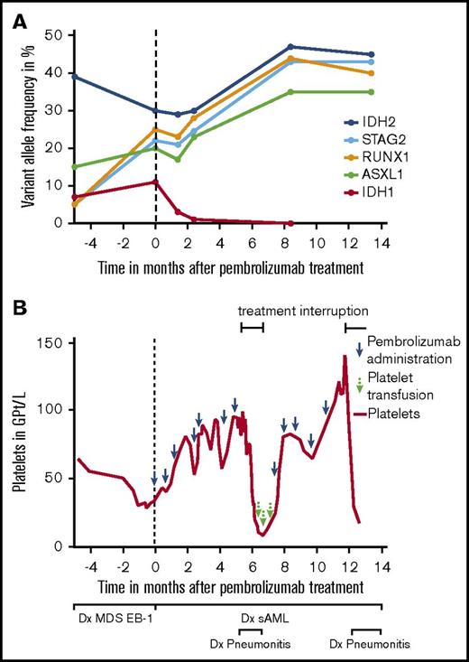 Figure 1. Variant allele frequency of mutations and course of platelet count prior to and during PEM therapy. (A) Variant allele frequency of single-nucleotide variants detected in IDH1, IDH2, ASXL1, RUNX1, and STAG2 in the patient before and during treatment with PEM. Analyses were done using published methods (panel next-generation sequencing analysis for 54 mutations; Trusight Myeloid Panel) including targeted ultradeep analysis for IDH1 and IDH2 with a sensitivity down to 0.1%.19 (B) After diagnosis of MDS EB-1, the patient presented with persistent thrombocytopenia. Two months after PEM treatment initiation, platelet counts increased from 34 Gpt/L to 81 Gpt/L. The course was complicated by a PEM-associated pneumonitis at ∼5 months after the start of therapy. During this period, PEM was stopped for 8 weeks, and the patient lost his platelet response subsequently. Response was regained after reintroduction of therapy. sAML, secondary AML.
