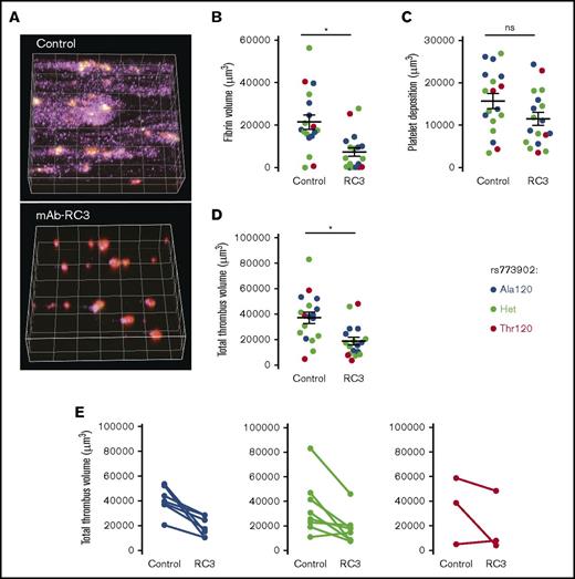 Figure 6. mAb-RC3 inhibits human thrombus formation independent of PAR4 variant expression. (A) Representative 3-dimensional reconstructions and (B-E) quantitation of human thrombi formed after 3 minutes of a whole blood thrombosis assay, showing platelets (red, anti-CD9), thrombin (green, thrombin probe), and fibrin (purple, anti-fibrin). (B,C) Pretreatment of blood with mAb-RC3 (RC3, 100 μg/mL) significantly inhibited fibrin formation, but the effect on platelet deposition did not reach significance. (D) This translated to a significant reduction in total thrombus volume. Individual data points are shown. Bars are mean ± standard error of the mean of all N = 18 experiments. *P < .05; not significant (ns) (unpaired Student t test). (E) Pairwise analysis for all individuals, separated by PAR4 genotype, showing a reduction in total thrombus volume in all individuals except the 2 with the lowest baseline response.