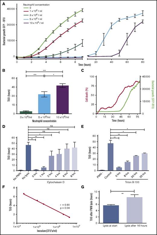 Figure 1. Neutrophils contain bacteria inside the phagolysosome for more than 2 days. (A) Coculture of neutrophils and SA-GFP in fibrin gels. Increasing concentrations of neutrophils from healthy controls were incubated with a fixed amount of bacteria (5 × 106 CFUs per mL) (representative data; n = 20). Symbols represent the mean of duplicates. Bacterial proliferation is expressed in GFP-relative fluorescence units (RFU). (B) TUO of SA-GFP (5 × 106 CFUs per mL) cocultured in fibrin gels with 3 × 106 neutrophils per mL (n = 15), 5 × 106 neutrophils per mL (n = 22), and 10 × 106 neutrophils per mL (n = 17). (C) Propidium iodide was added to cocultures of SA-GFP (5 × 106 CFUs per mL) and 10 × 106 neutrophils per mL in fibrin gel to determine viability and containment capacity of neutrophils simultaneously. Lines represent median fluorescence intensity (n = 4). (D) Effect of addition of the phagocytosis inhibitor cytochalasin D (20 μM end concentration) on TUO during coculture of 10 × 106 polymorphonuclear (PMN) cells per mL and 5 × 106 CFUs per mL SA-GFP in fibrin gel at different (early) time points (n = 4). (E) Effect of neutrophil lysis by Triton X-100 (0.5% end concentration) on TUO during coculture of 10 × 106 PMN cells per mL and 5 × 106 CFUs per mL SA-GFP in fibrin gel at different (late) time points (n = 4). (F) Correlation between TUO and amount of bacteria present in fibrin gels. Various amounts of SA-GFP were added to fibrin gels, and TUO was determined (representative experiment; n = 5). (G) TUO after lysis of 10 × 106 PMN cells per mL at the start vs lysis at 16 hours when cocultured with 5 × 106 CFUs per mL SA-GFP in fibrin gel (n = 9). Data in panels A-B are mean + SEM. Data in panels E-G are mean ± SEM. *P < .05; **P < .01; ***P < .001 as determined by 1-way analysis of variance (ANOVA) or repeated measures (RM) 1-way ANOVA with the Greenhouse-Geisser correction followed by Tukey’s multiple comparison test or Student t test for paired samples. ns, not significant.