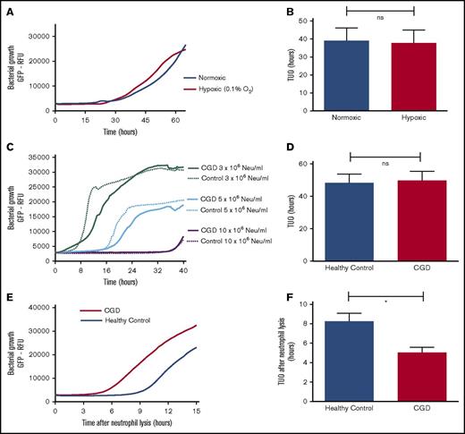 Figure 2. Intraphagosomal bacterial containment is independent of ROS. Effect of hypoxia (0.1% O2) on bactericidal capacity of 5 × 106 neutrophils (Neu) per mL from healthy participants when cocultured with 5 × 106 CFUs per mL SA-GFP in fibrin gel. (A) Growth curves after incubating neutrophils and SA-GFP in either normoxic or hypoxic conditions and (B) corresponding TUOs (n = 6). (C) Coculture of SA-GFP (5 × 106 CFUs per mL) and increasing concentrations of neutrophils from CGD patients (n = 6) and healthy controls (n = 4) in fibrin gels. (D) TUO of SA-GFP (5 × 106 CFUs per mL) cocultured in fibrin gel with 10 × 106 neutrophils per mL of healthy control neutrophils (n = 10) vs CGD patients (n = 6). (E) Mean bacterial growth measured by GFP fluorescence after lysis of 10 × 106 neutrophils per mL from healthy controls (n = 10) and CGD patients (n = 6) by Triton X-100 16 hours after starting cocultures with 5 × 106 CFUs per mL SA-GFP in fibrin gels and (F) corresponding TUOs. All data are mean + SEM. *P < .05, as determined by Student t test for unpaired samples.